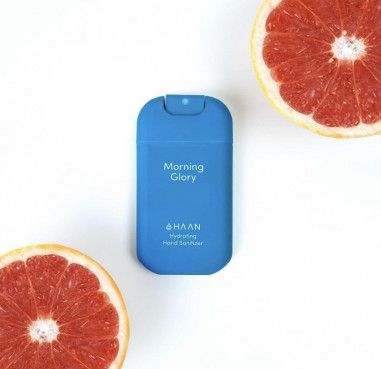 Paquete de 3 Morning Glory de HAAN