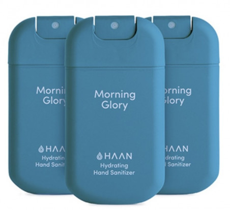 Paquete de 3 Morning Glory de HAAN