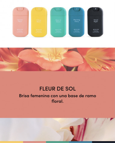 Pocket y recambio SF de HAAN