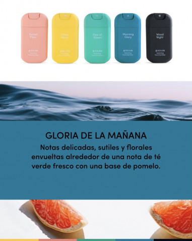 Pocket y recambio MG de HAAN