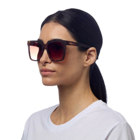 Gafas de Sol Okkia Roma Classic Havana