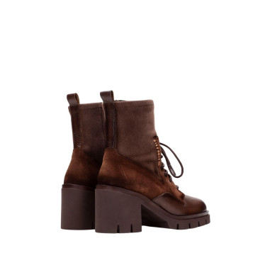 Botín Zurich Avellana Hispanitas